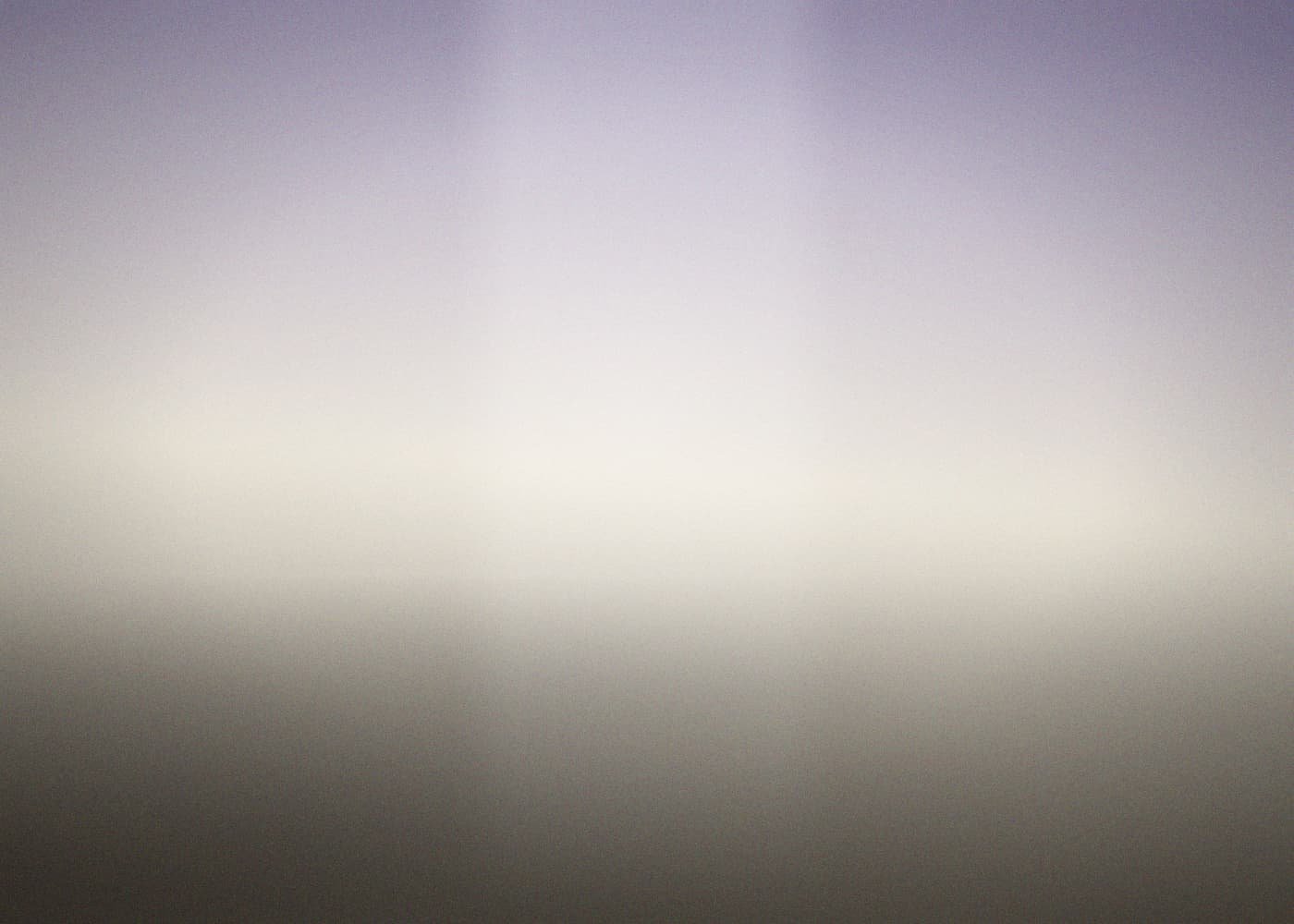 Portrait de groupe dans le parc, fin de matinée
