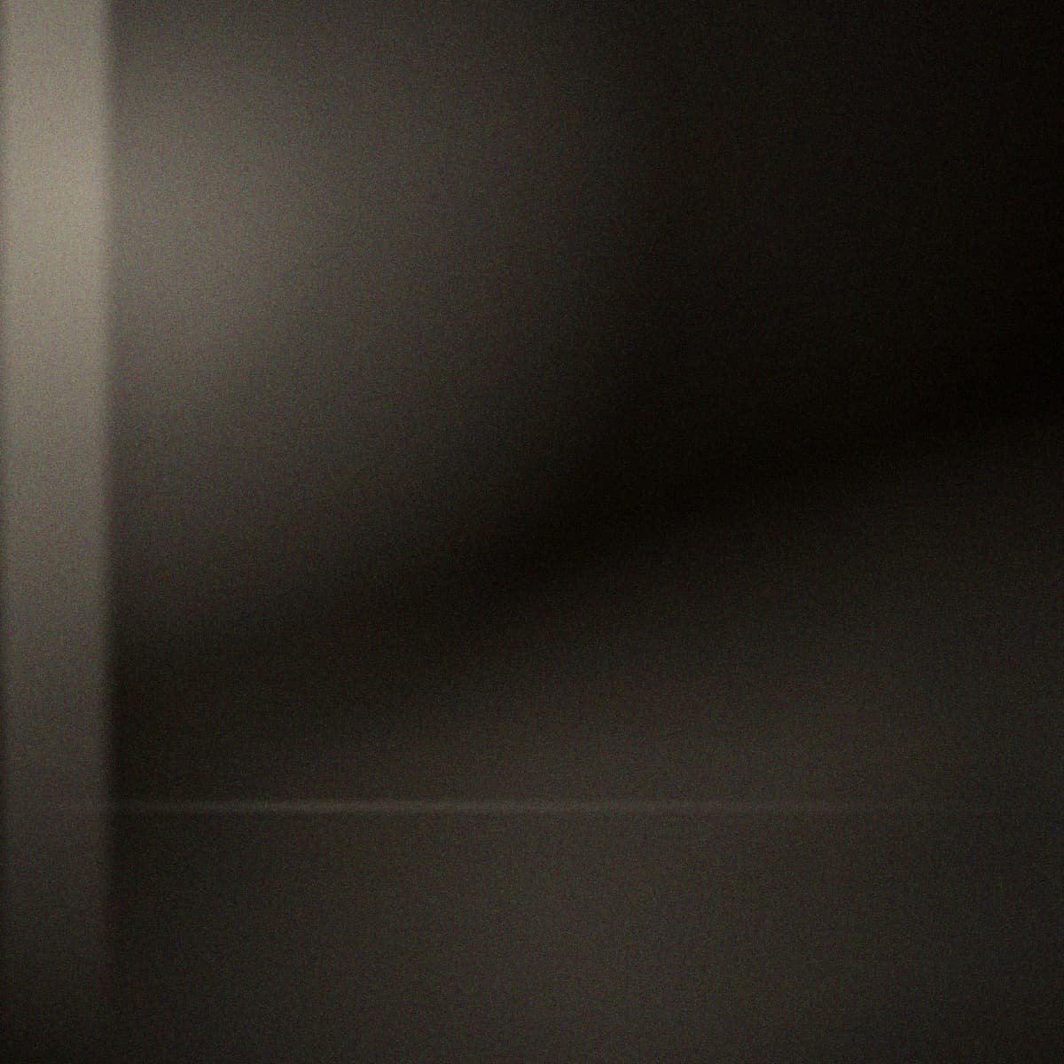 Détail d'un bouquet sombre